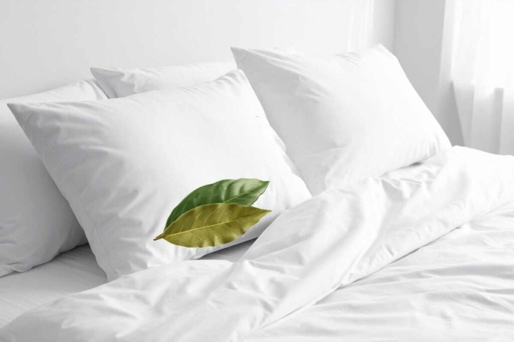 ¿Por qué poner una hoja de laurel debajo de la almohada puede cambiar tu descanso y atraer buena suerte?