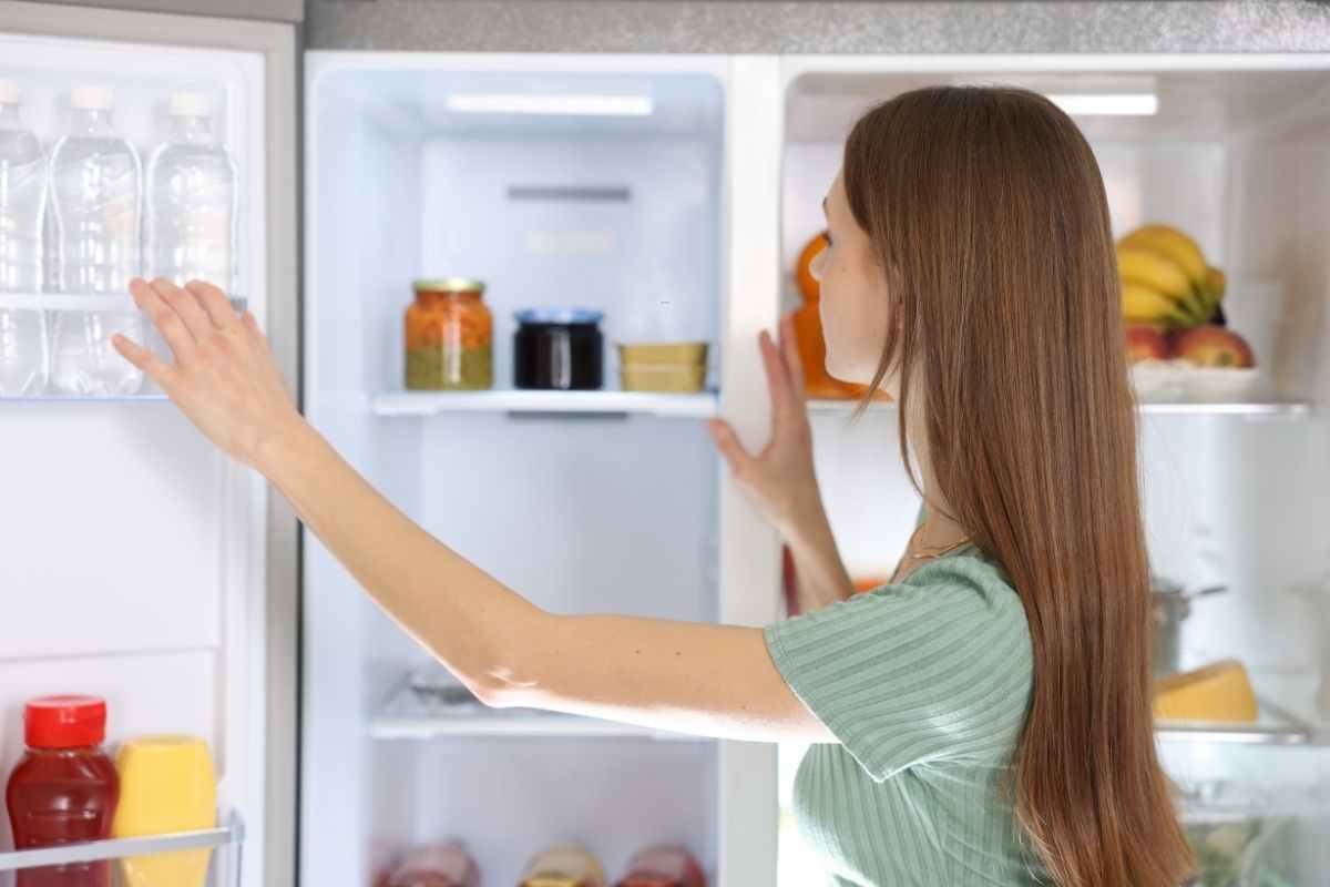 El truco casero con esponja que mantiene tu nevera más fresca y tus alimentos por más tiempo