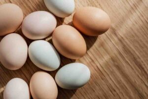 Cómo leer correctamente la etiqueta de los huevos: guía rápida para comprar con confianza