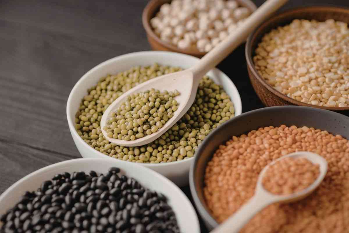 Legumbres secas o de bote: cuál es más saludable y cómo aprovechar sus beneficios
